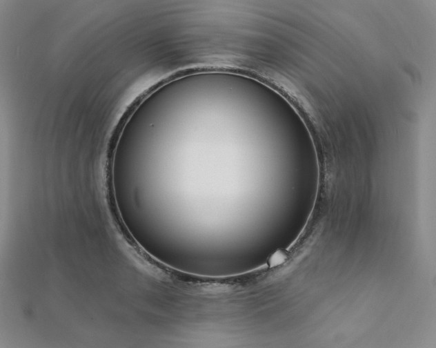 X0000112001085200908031224