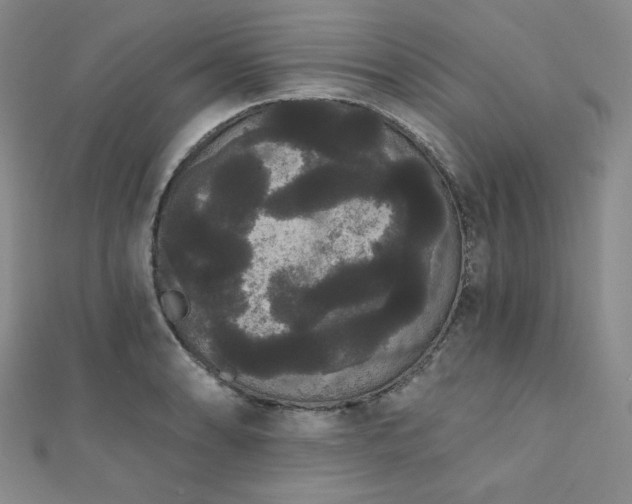 X0000112001086200908031224