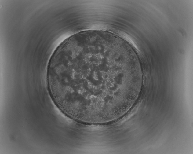 X0000112001087200908031224