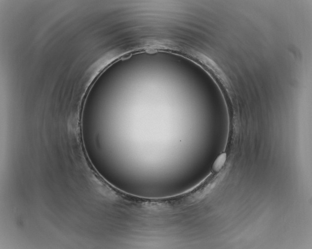 X0000112001089200908031224
