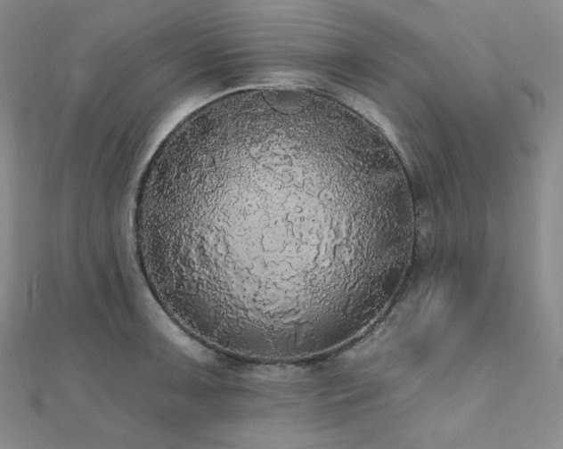 X0000112001091200908031224