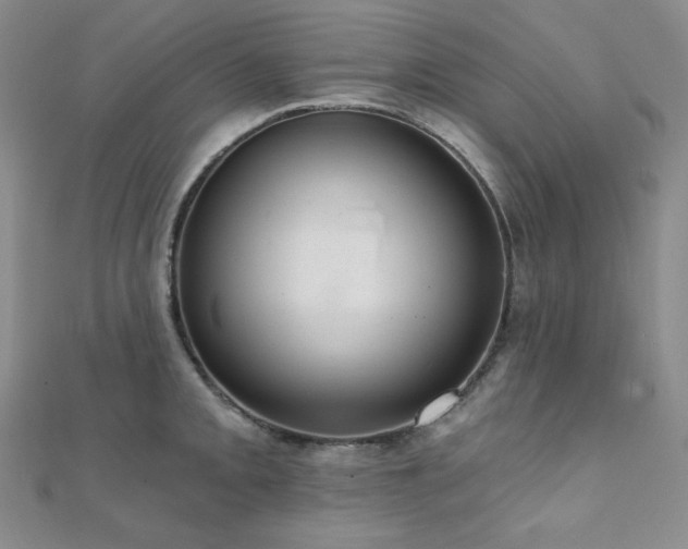 X0000112001093200908031224