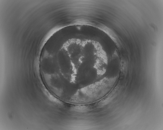 X0000112001094200908031224