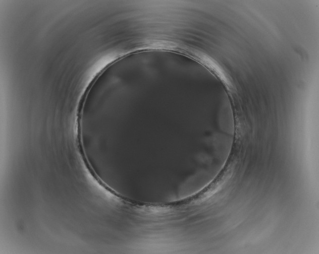 X0000112001095200908031223