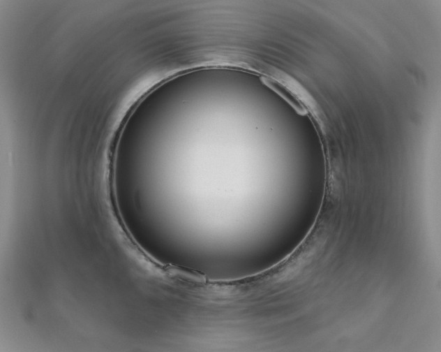 X0000112001096200908031223