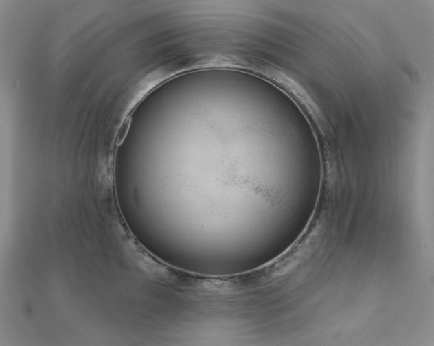 X0000112001097200908031223