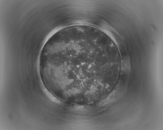 X0000112001098200908031223