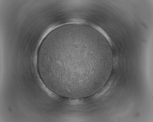 X0000112001099200908031223