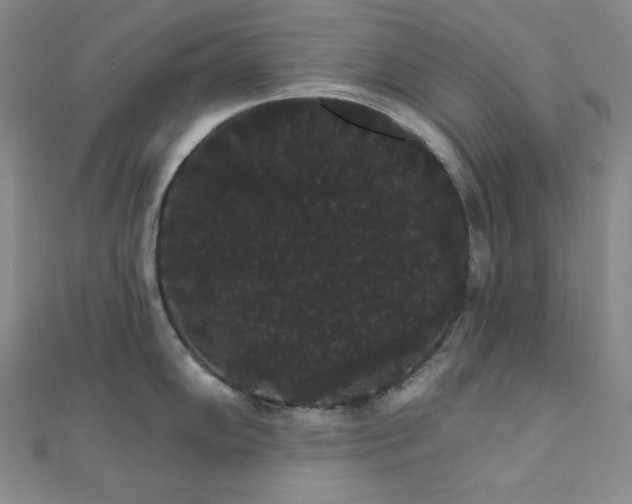 X0000112001102200908031223