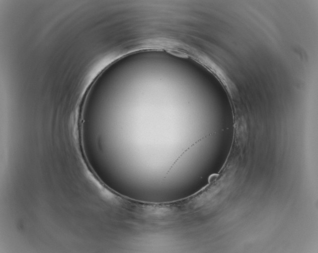 X0000112001103200908031223