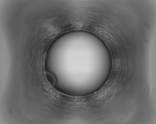 X0000112001105200908031223
