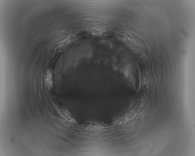 X0000112001106200908031223