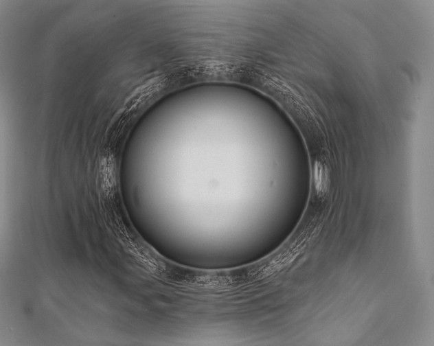 X0000112001107200908031223