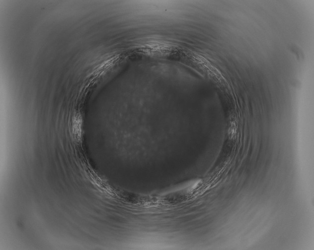 X0000112001108200908031223