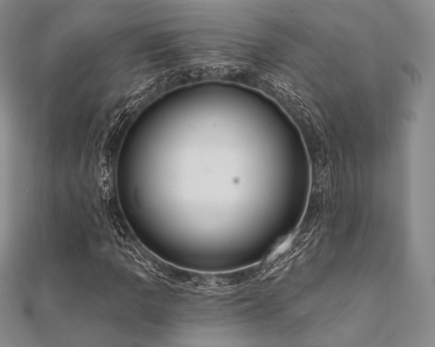 X0000112001109200908031223