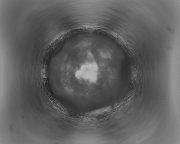 X0000112001110200908031223
