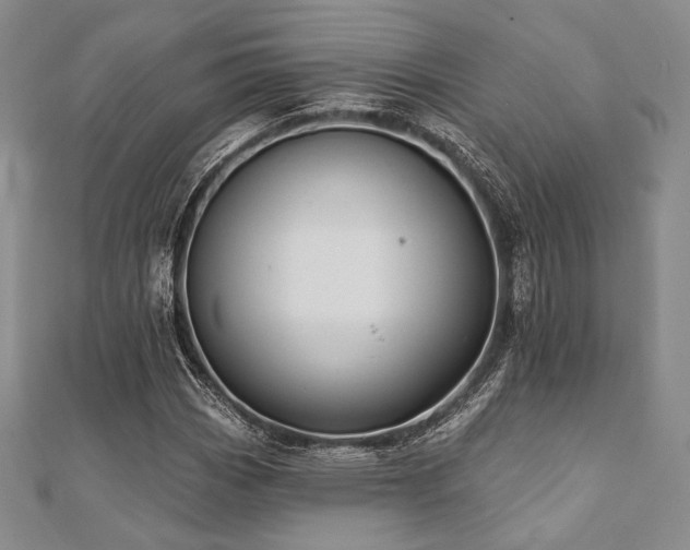 X0000112001113200908031223