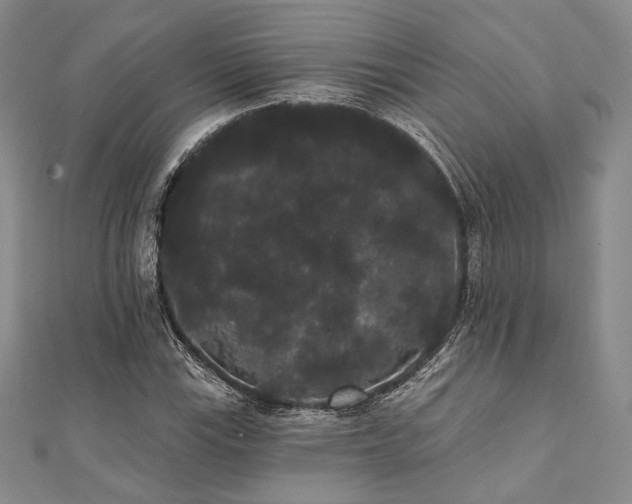 X0000112001115200908031223
