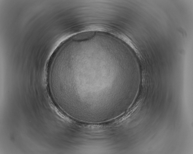 X0000112001116200908031223