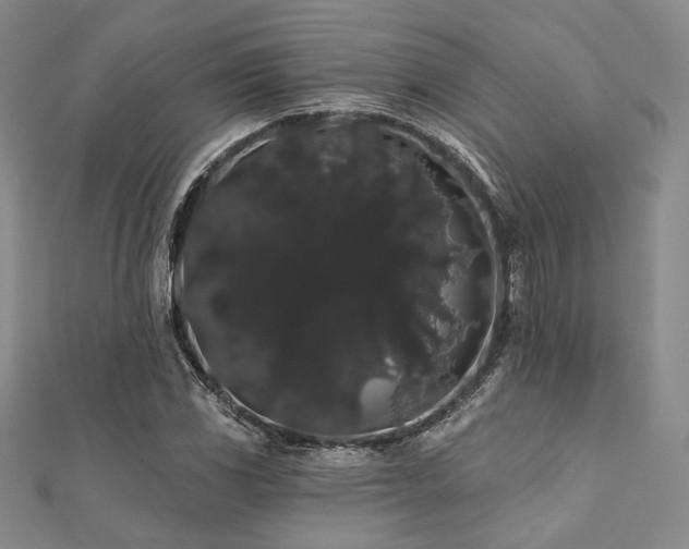 X0000112001117200908031223