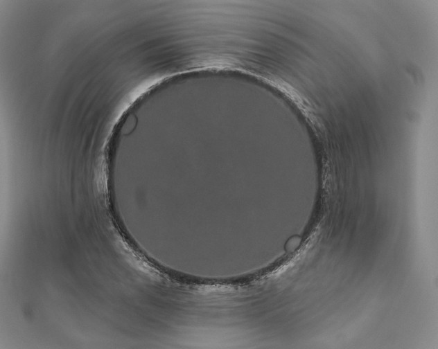 X0000112001118200908031223