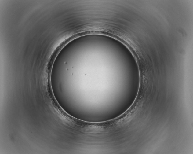 X0000112001119200908031223