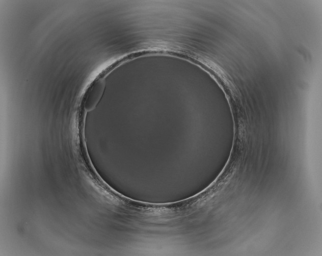 X0000112001120200908031223