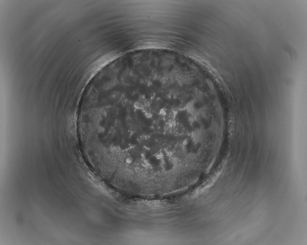 X0000112001121200908031223