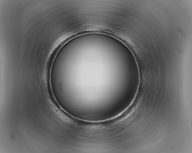 X0000112001122200908031223