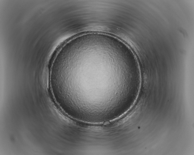 X0000112001123200908031223