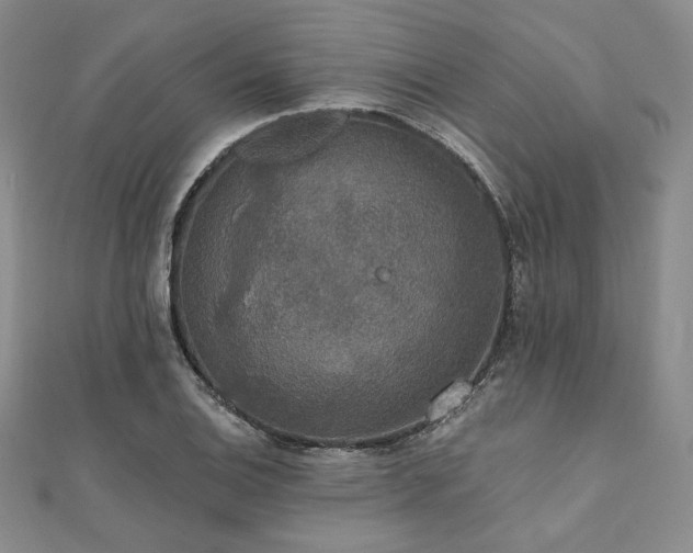 X0000112001124200908031223