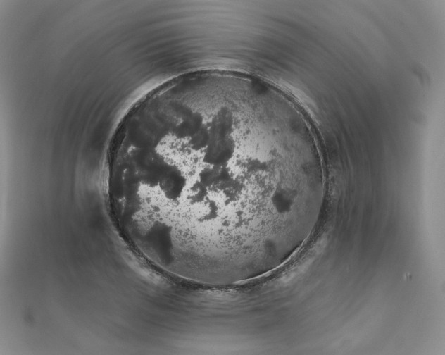 X0000112001125200908031223