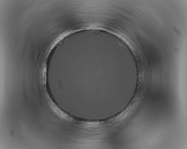X0000112001126200908031223