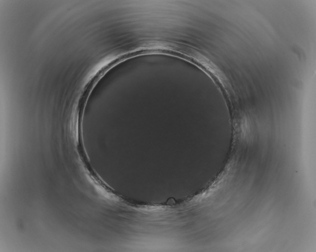 X0000112001127200908031223