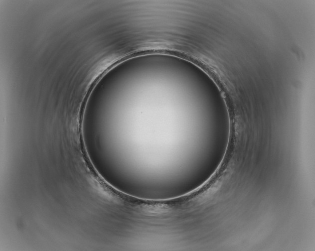 X0000112001129200908031223