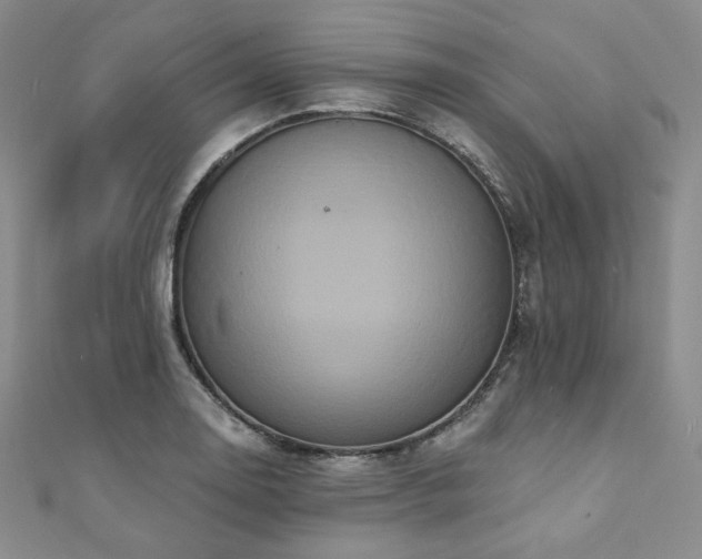 X0000112001130200908031223