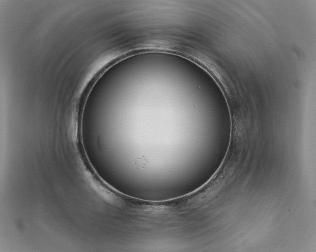 X0000112001131200908031223