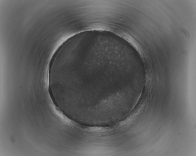 X0000112001132200908031223