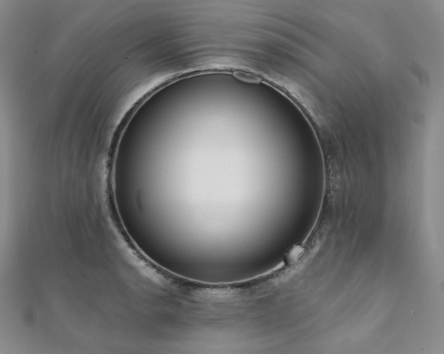 X0000112001134200908031223