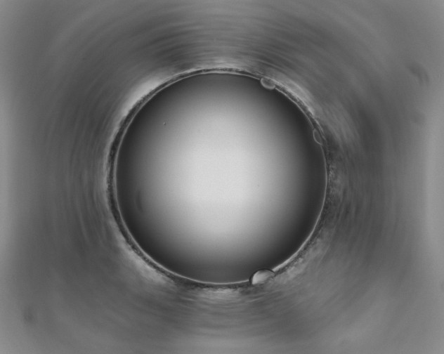 X0000112001135200908031223