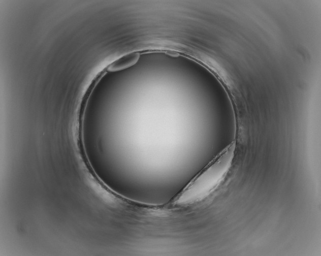 X0000112001136200908031223