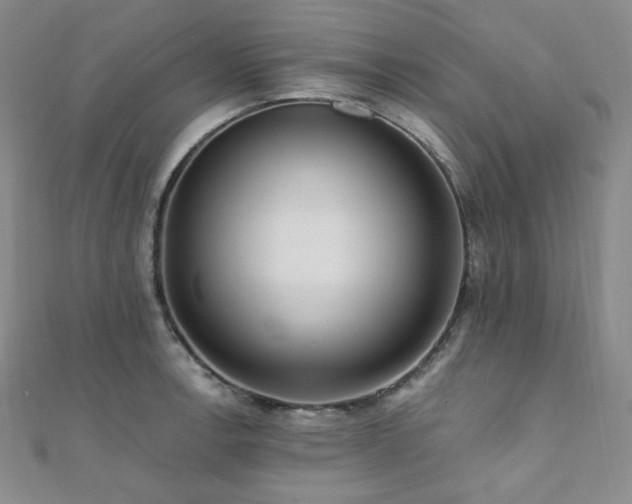 X0000112001138200908031223