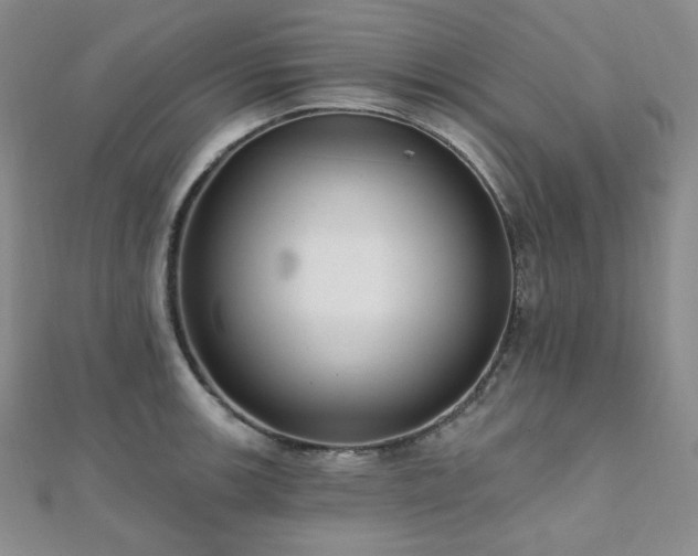 X0000112001139200908031223