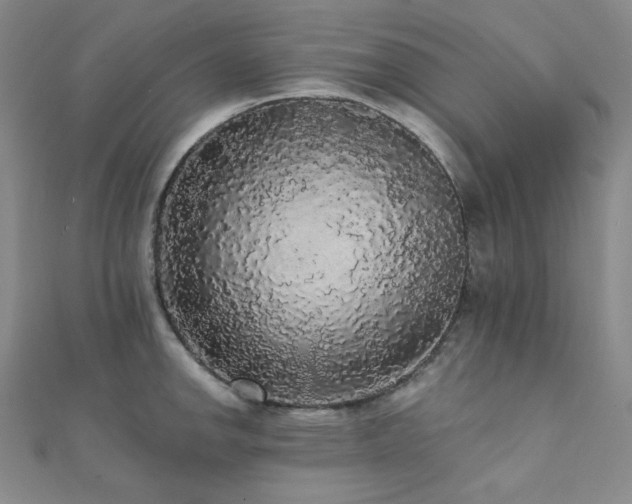 X0000112001142200908031223