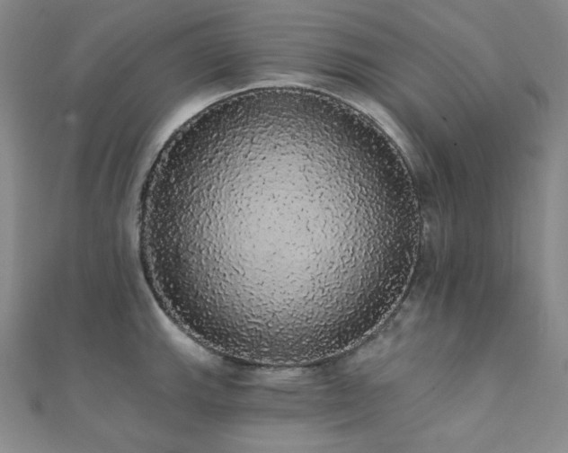 X0000112001143200908031223