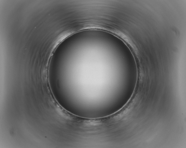 X0000112001145200908031223