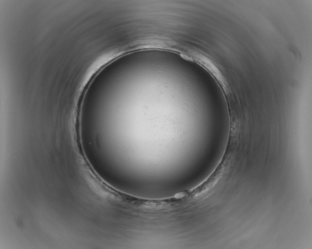 X0000112001146200908031223