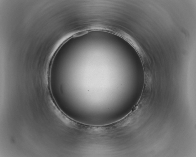 X0000112001148200908031223
