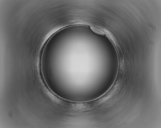 X0000112001149200908031223