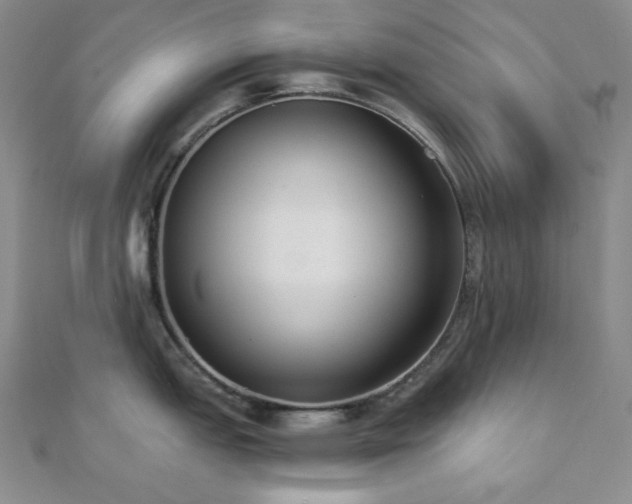 X0000112001151200908031223